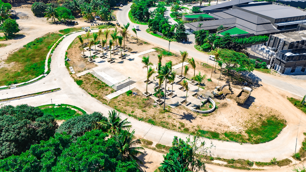 Samal Shores Residenza Entry Statement Royal Palms Tree Planting