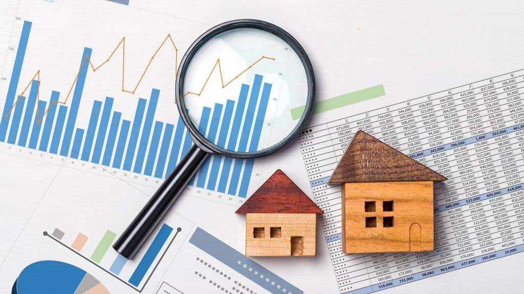 Investment Opportunities
