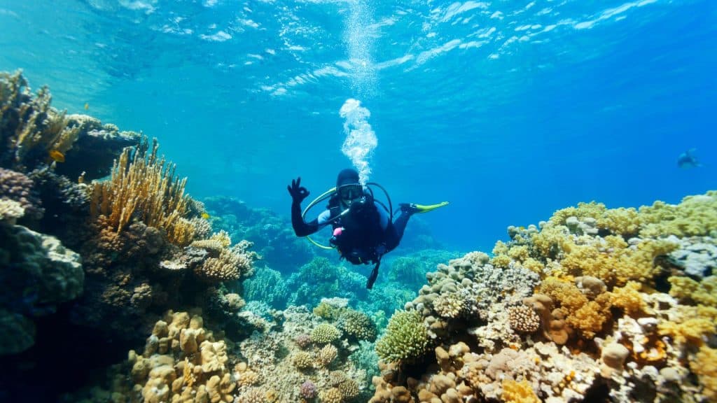 Scuba Diving in Samal Island
