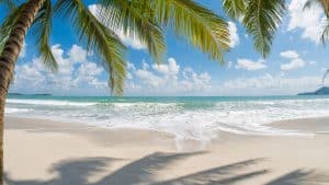 Beachfront Lots for Sale in Samal Island—What to Know