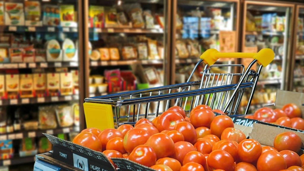 Everyday Essentials and Infrastructure